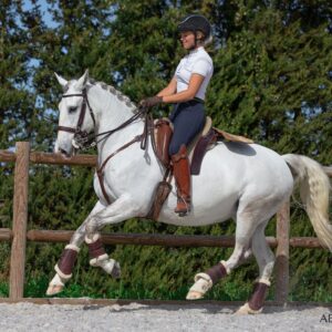 Privé rijlessen hoogwaardige dressuur- en Working Equitation trainingen in Vimeiro- Portugal