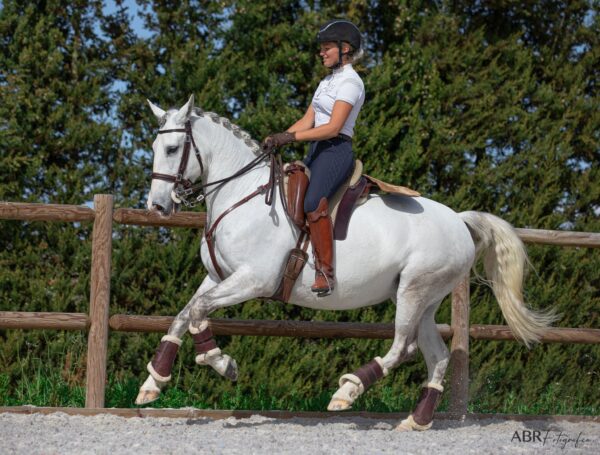 Privé rijlessen hoogwaardige dressuur- en Working Equitation trainingen in Vimeiro- Portugal