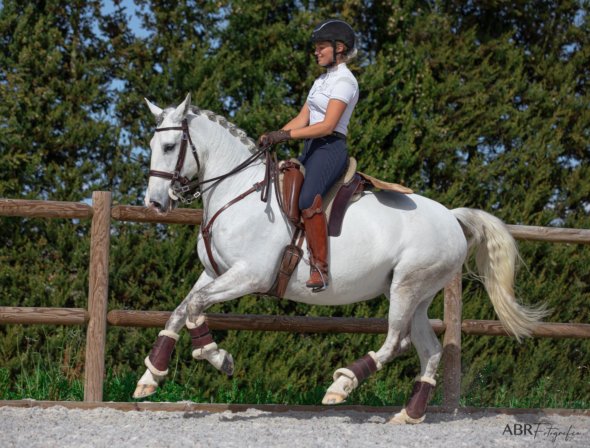 Privé rijlessen hoogwaardige dressuur- en Working Equitation trainingen in Vimeiro- Portugal - Afbeelding 1