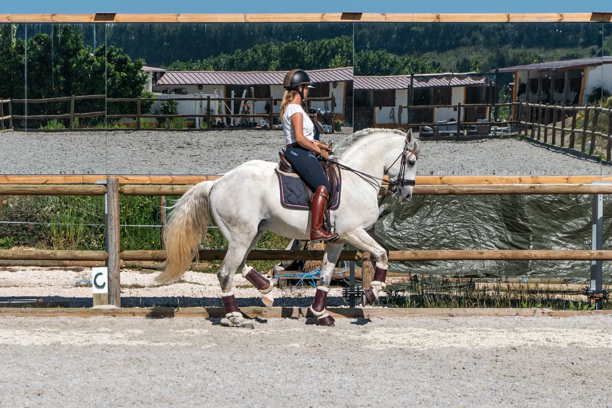 Privé rijlessen hoogwaardige dressuur- en Working Equitation trainingen in Vimeiro- Portugal - Afbeelding 3