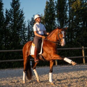 Privé rijlessen hoogwaardige dressuur- en Working Equitation trainingen in Vimeiro- Portugal - Afbeelding 2