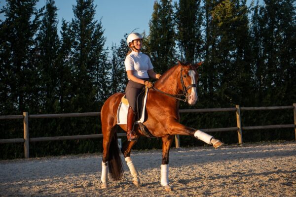 Privé rijlessen hoogwaardige dressuur- en Working Equitation trainingen in Vimeiro- Portugal