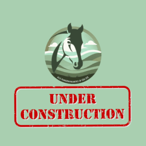 4, 5 of 8-daagse paardrijvakantie op maat  Andalusië - Spanje