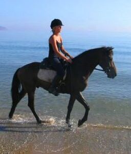 3-daagse paardrijtocht rond Psiloritis & de Witte Bergen Kreta - Griekenland - Afbeelding 21