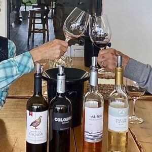 5 of 6 dagen paardrijles hoogwaardige dressuur- en Working Equitation trainingen nabij Lissabon  – Portugal - Afbeelding 10