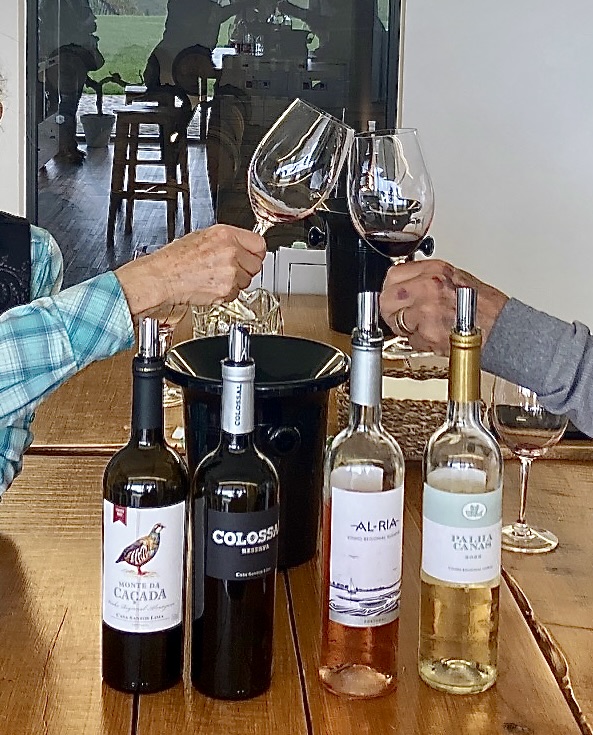 5 of 6 dagen paardrijles hoogwaardige dressuur- en Working Equitation trainingen nabij Lissabon  – Portugal