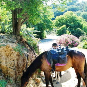 8-daagse paardrijtocht North–South Trail Kreta - Griekenland - Afbeelding 20