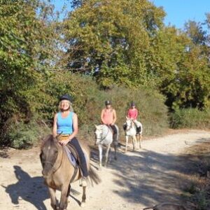 3-daagse paardrijtocht rond Psiloritis & de Witte Bergen Kreta - Griekenland - Afbeelding 19