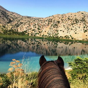 3-daagse paardrijtocht rond Psiloritis & de Witte Bergen Kreta - Griekenland - Afbeelding 18