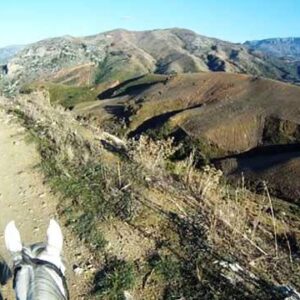 8-daagse paardrijtocht North–South Trail Kreta - Griekenland - Afbeelding 12