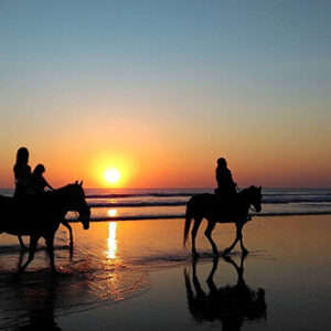 Buitenrit Strand nabij Kassiopi Corfu - Griekenland - Afbeelding 3