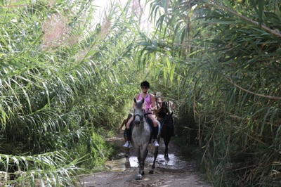 8-daagse paardrijtocht North–South Trail Kreta - Griekenland