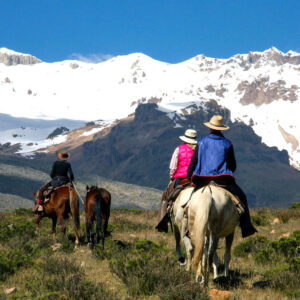 Ranch vakantie - Peru - Afbeelding 4