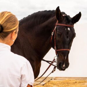 Privé rijlessen hoogwaardige dressuur- en Working Equitation trainingen in Vimeiro- Portugal - Afbeelding 3