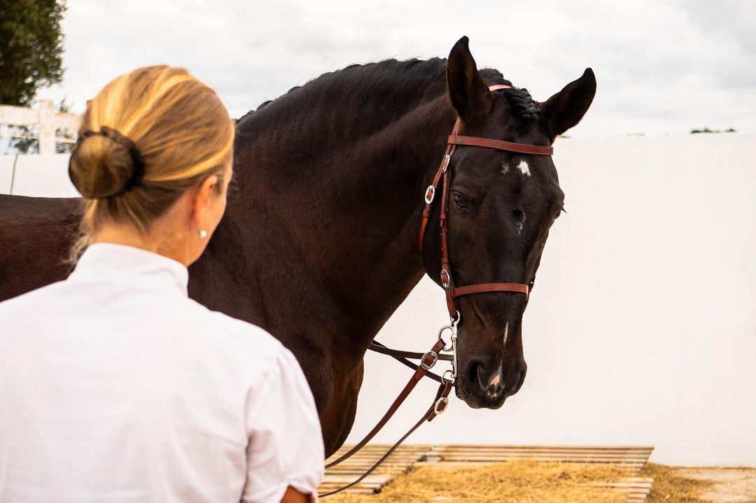 Privé rijlessen hoogwaardige dressuur- en Working Equitation trainingen in Vimeiro- Portugal - Afbeelding 3