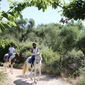 3-daagse paardrijtocht rond Psiloritis & de Witte Bergen Kreta - Griekenland - Afbeelding 24