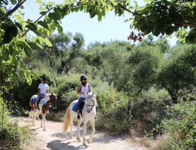 3-daagse paardrijtocht rond Psiloritis & de Witte Bergen Kreta - Griekenland
