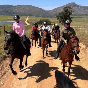 8-daagse paardrijtocht van de Klein Karoo naar de stranden van de Garden Route. - Afbeelding 27