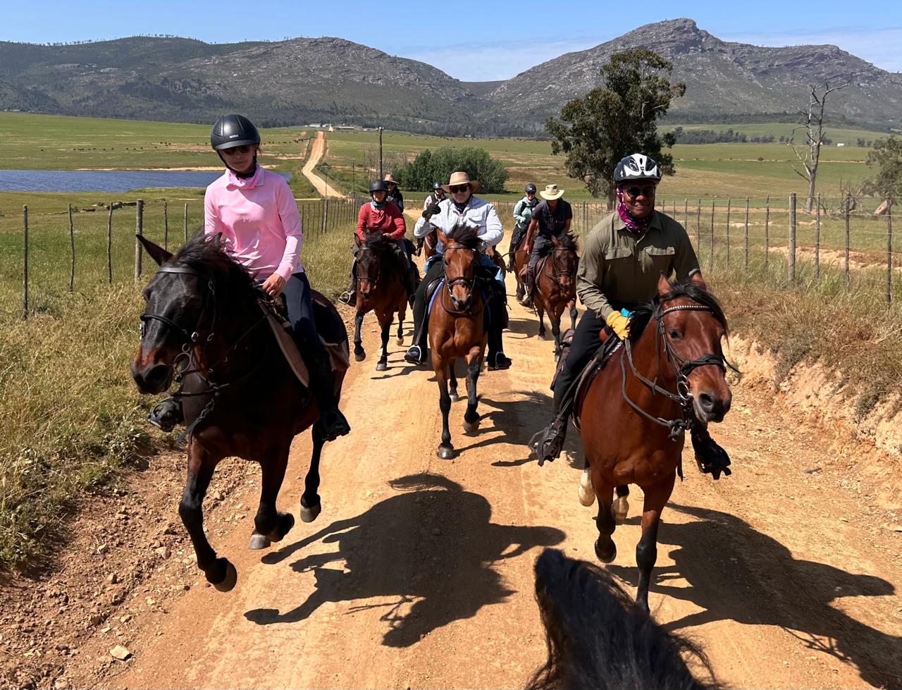 8-daagse paardrijtocht van de Klein Karoo naar de stranden van de Garden Route. - Afbeelding 27
