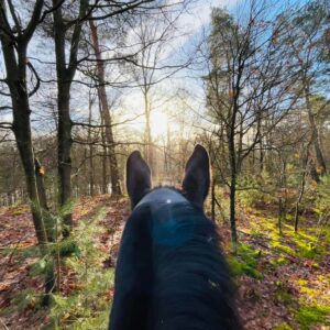Met je eigen paard op vakantie in het hart van Noord-Limburg - Nederland