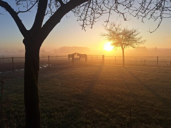 Met je eigen paard op vakantie in het hart van Noord-Limburg - Nederland