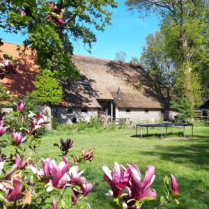 Met je eigen paard op vakantie in het Drents-Friese Wold Drenthe- Nederland - Afbeelding 17