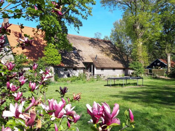 Met je eigen paard op vakantie in het Drents-Friese Wold Drenthe- Nederland