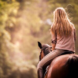 8-daagse paardrijtocht van de Klein Karoo naar de stranden van de Garden Route.