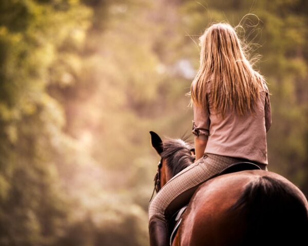 8-daagse paardrijtocht van de Klein Karoo naar de stranden van de Garden Route.