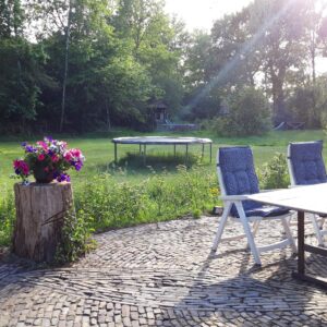 Met je eigen paard op vakantie in het Drents-Friese Wold Drenthe- Nederland - Afbeelding 14