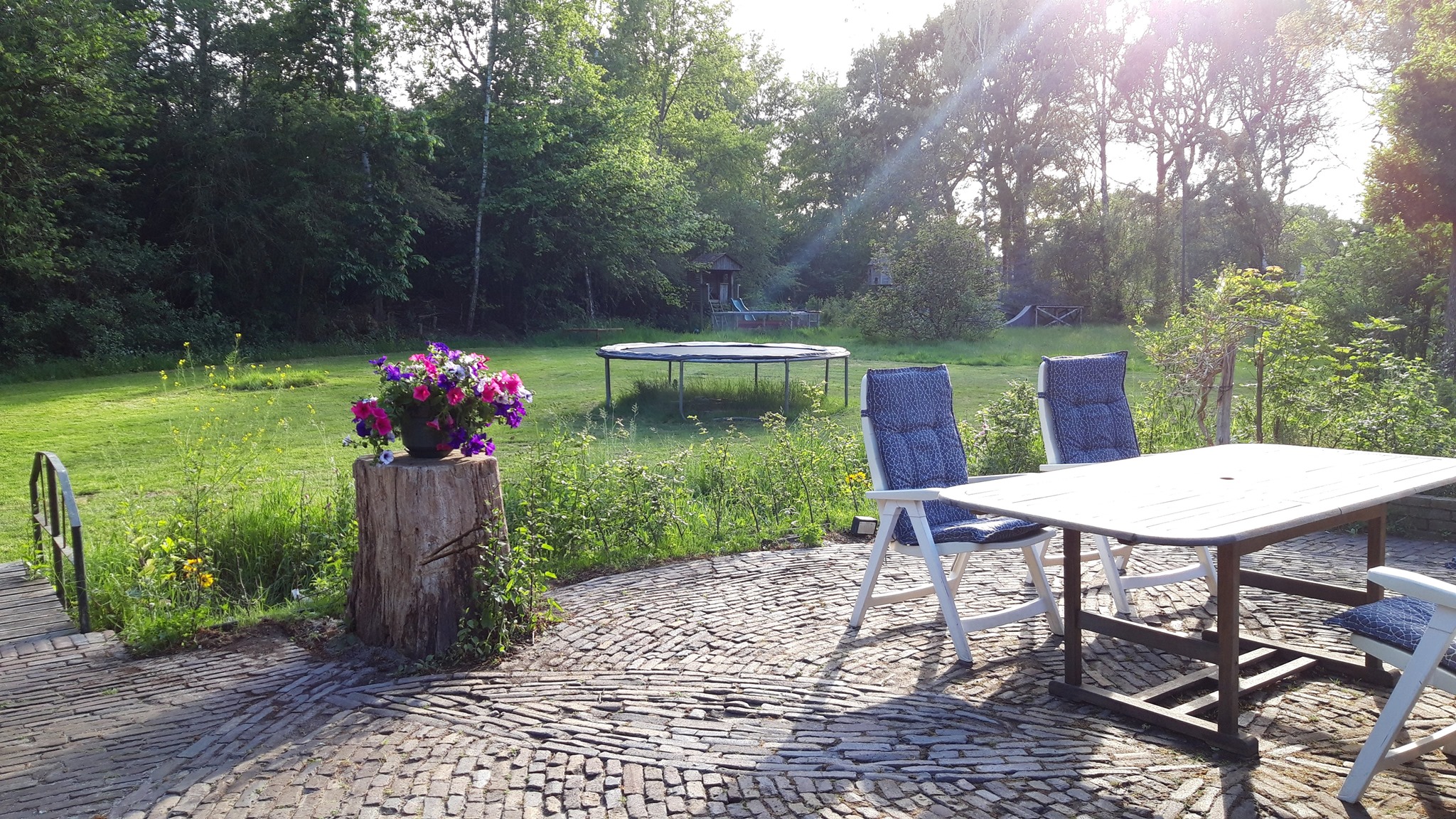 Met je eigen paard op vakantie in het Drents-Friese Wold Drenthe- Nederland - Afbeelding 14