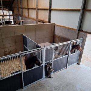 Met je eigen paard op vakantie in het hart van Noord-Limburg - Nederland - Afbeelding 11