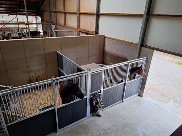 Met je eigen paard op vakantie in het hart van Noord-Limburg - Nederland