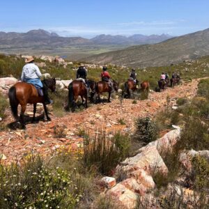 8-daagse paardrijtocht van de Klein Karoo naar de stranden van de Garden Route. - Afbeelding 25