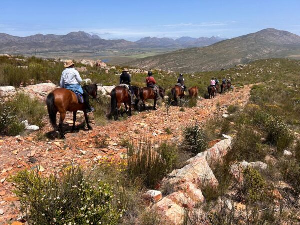 8-daagse paardrijtocht van de Klein Karoo naar de stranden van de Garden Route.