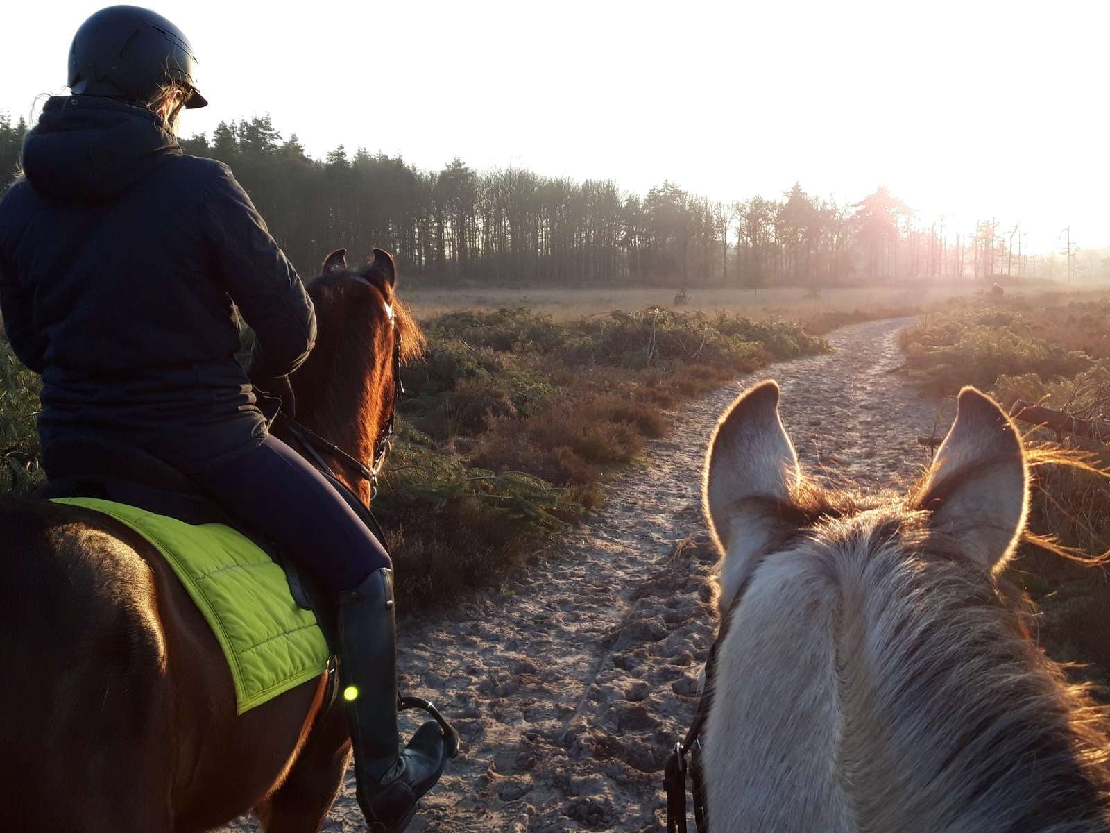 Met je eigen paard op vakantie in het Drents-Friese Wold Drenthe- Nederland - Afbeelding 13