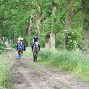Met je eigen paard op vakantie in het Drents-Friese Wold Drenthe- Nederland - Afbeelding 12