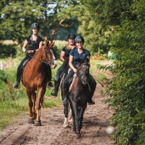 Met je eigen paard op vakantie in het Drents-Friese Wold Drenthe- Nederland - Afbeelding 9