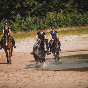 Met je eigen paard op vakantie in het Drents-Friese Wold Drenthe- Nederland - Afbeelding 3
