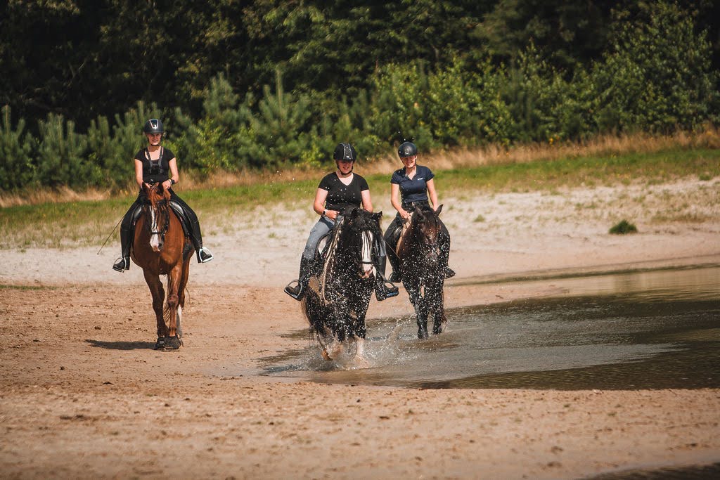 Met je eigen paard op vakantie in het Drents-Friese Wold Drenthe- Nederland - Afbeelding 3