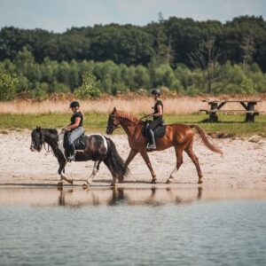 Met je eigen paard op vakantie in het Drents-Friese Wold Drenthe- Nederland - Afbeelding 2