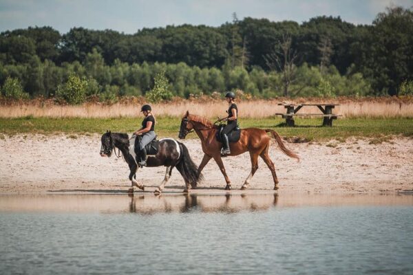 Met je eigen paard op vakantie in het Drents-Friese Wold Drenthe- Nederland