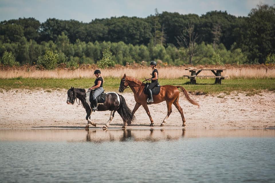 Met je eigen paard op vakantie in het Drents-Friese Wold Drenthe- Nederland - Afbeelding 2