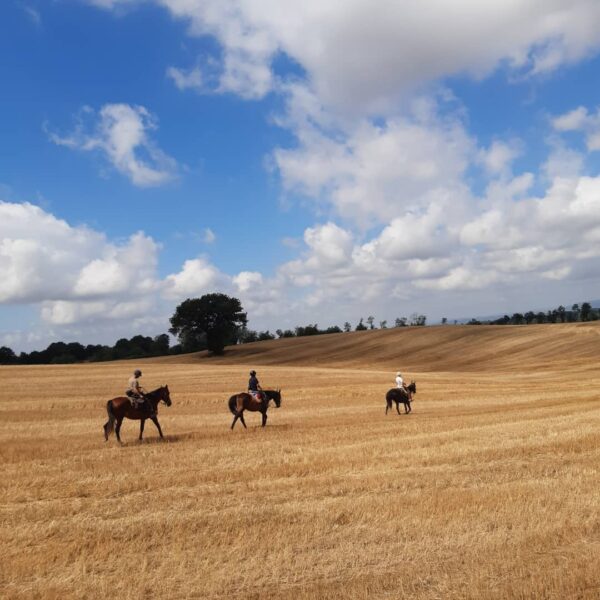 2-daagse paardrijtocht door het Archeologisch Park van de Tufsteden Toscane - Italië