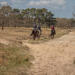 Met je eigen paard op vakantie in het Drents-Friese Wold Drenthe- Nederland - Afbeelding 8