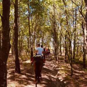 2-daagse paardrijtocht door het Archeologisch Park van de Tufsteden Toscane - Italië - Afbeelding 7