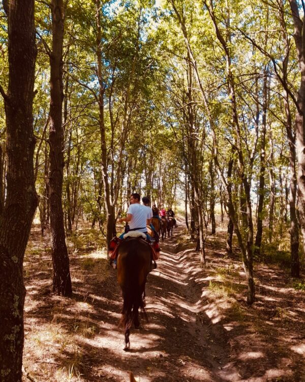 2-daagse paardrijtocht door het Archeologisch Park van de Tufsteden Toscane - Italië