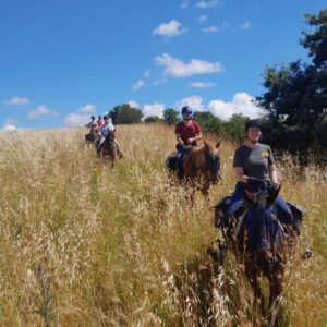 2-daagse paardrijtocht door het Archeologisch Park van de Tufsteden Toscane - Italië - Afbeelding 14