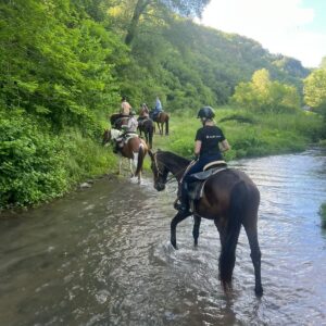 2-daagse paardrijtocht door het Archeologisch Park van de Tufsteden Toscane - Italië - Afbeelding 2