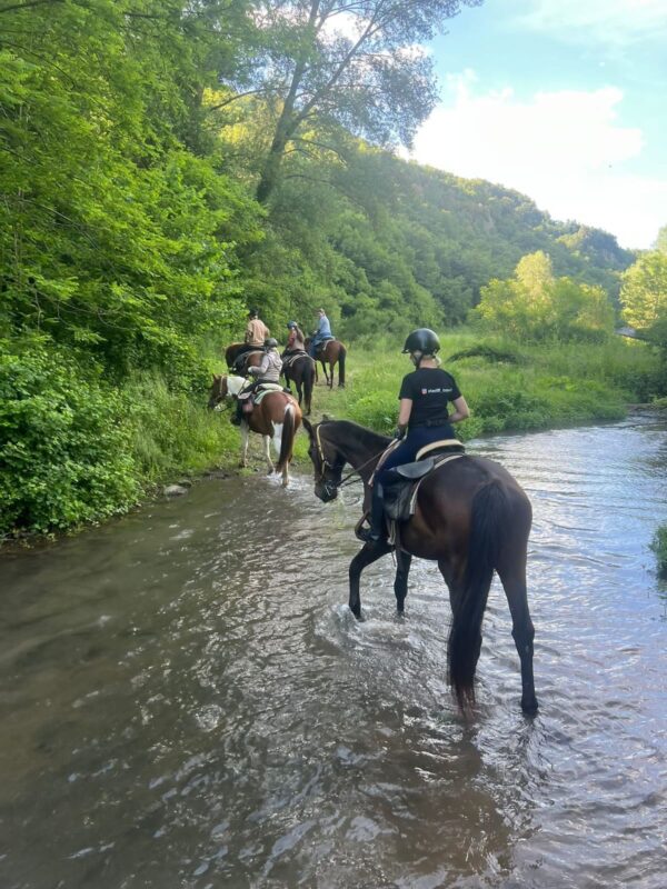 2-daagse paardrijtocht door het Archeologisch Park van de Tufsteden Toscane - Italië